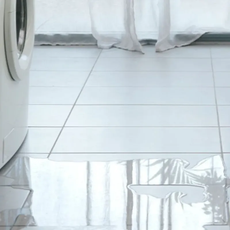Appliance Leak Cleanup in Vassar, MI
