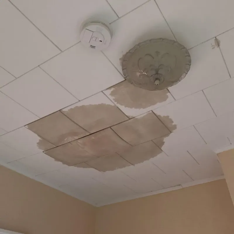 Ceiling Water Damage Repair in Vassar, MI