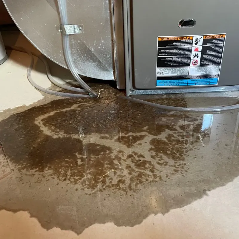 Pipe Burst and Leak Restoration in Vassar, MI