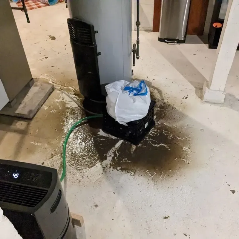 Sewage Backup Cleanup Service in Vassar, MI